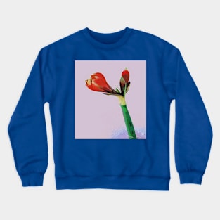 The Beginning Crewneck Sweatshirt